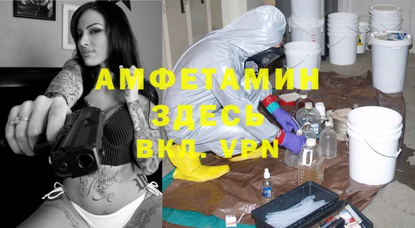 крисы Бронницы